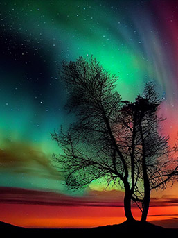 Polarlichter über Deutschland